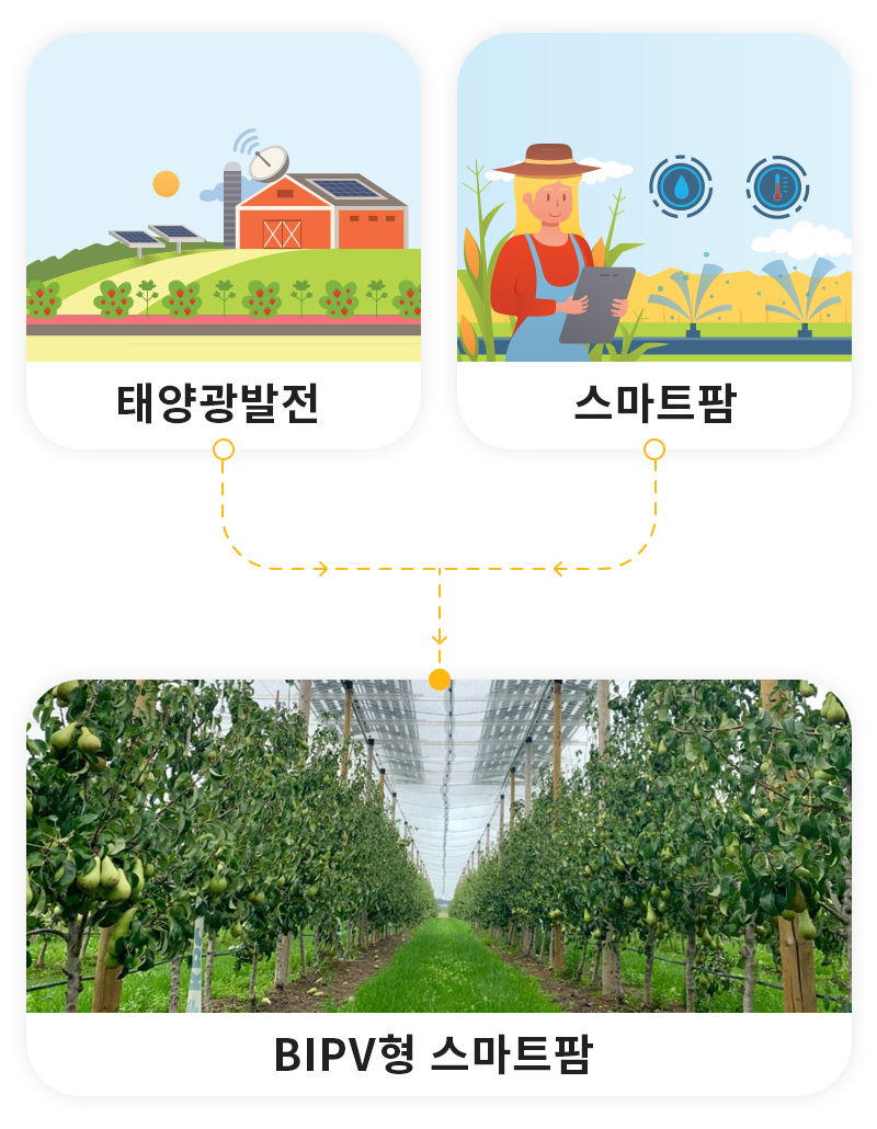 BIPV형 스마트팜은 태양광발전과 스마트팜이 합쳐진 개념으로 노동은 적게, 생산량은 늘려주는 농사입니다.